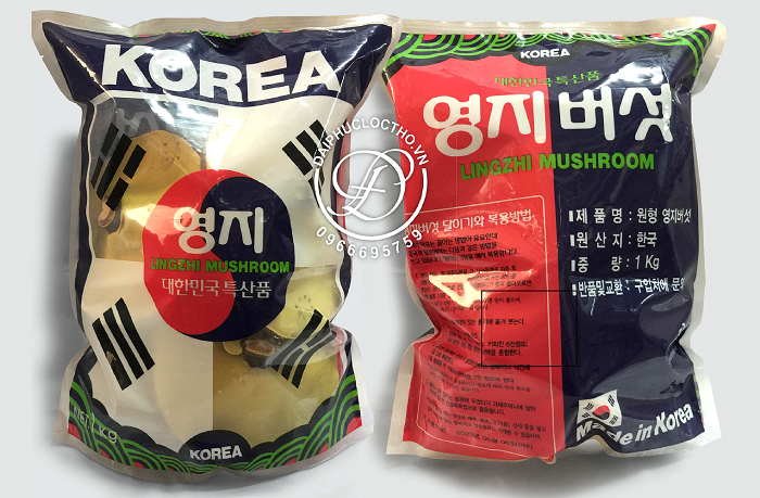 cach-phan-biet-nam-linh-chi-that-va-gia