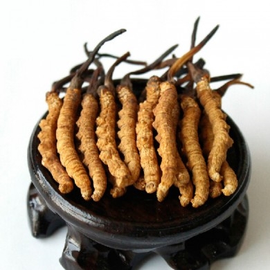 tac-dung-cua-dong-trung-ha-thao-trong-viec-chua-benh-1