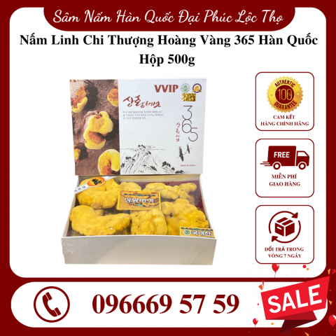 Nấm Linh Chi Thượng Hoàng Vàng 365 Hàn Quốc Hộp 500g 