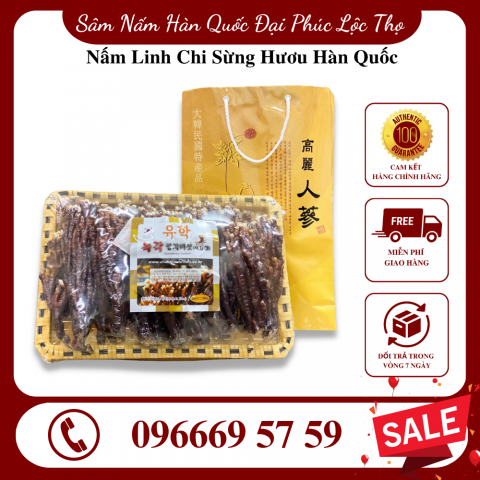 Nấm Linh Chi Sừng Hươu Hàn Quốc
