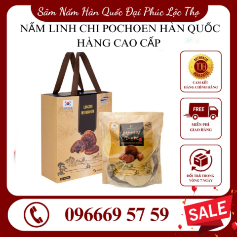 Nấm linh chi Pochoen Hàn Quốc Cao cấp Hộp 1kg